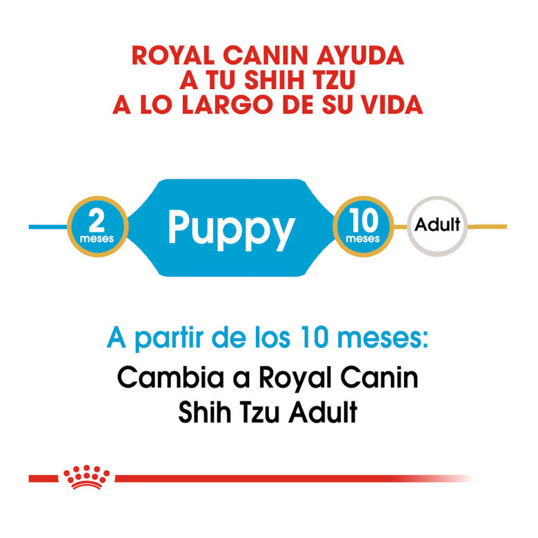 Royal Canin Puppy Shih Tzu ração para cães, , large image number null